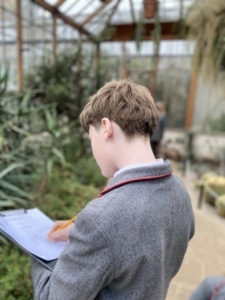 Year 8 and Year 9 pupils studying plant adaptations in the glasshouses at the Cambridge University Botanic Garden.