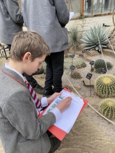 Year 8 and Year 9 pupils studying plant adaptations in the glasshouses at the Cambridge University Botanic Garden.