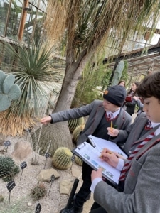 Year 8 and Year 9 pupils studying plant adaptations in the glasshouses at the Cambridge University Botanic Garden.