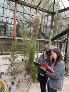 Year 8 and Year 9 pupils studying plant adaptations in the glasshouses at the Cambridge University Botanic Garden.