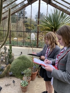 Year 8 and Year 9 pupils studying plant adaptations in the glasshouses at the Cambridge University Botanic Garden.