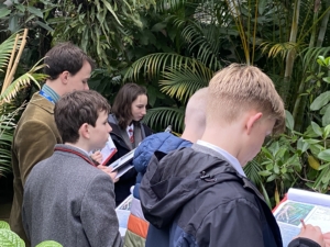 Year 8 and Year 9 pupils studying plant adaptations in the glasshouses at the Cambridge University Botanic Garden.