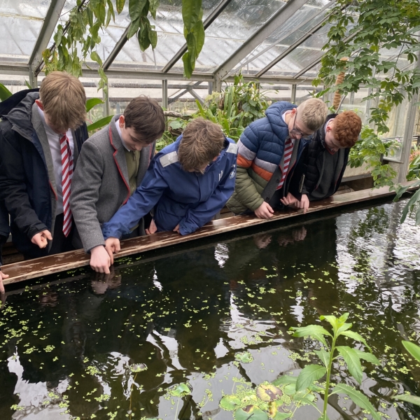 Year 8 and Year 9 pupils studying plant adaptations in the glasshouses at the Cambridge University Botanic Garden.